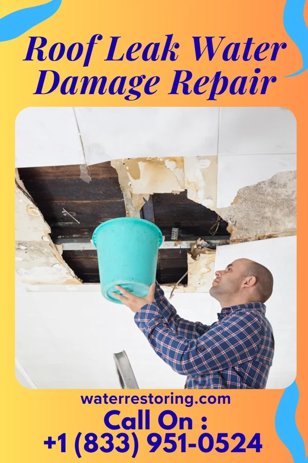 Roof Leak Water Damage Repair in Mize, MS