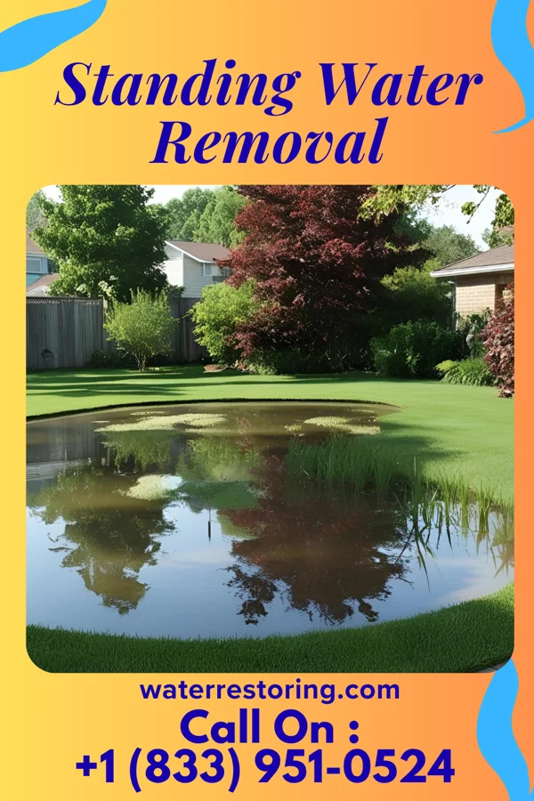 Standing Water Removal in Mize, MS